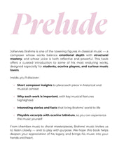 Load image into Gallery viewer, The Great Composers Series: Johannes Brahms